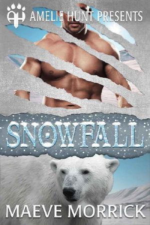 [Arctic Station Bears 03] • Snowfall